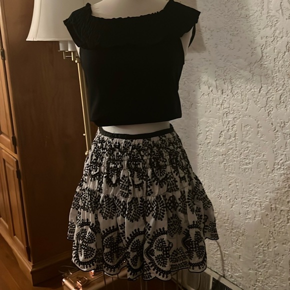 Zara Woman White Black Broderie
Anglaise Smocked Embroidered Flared
Mini Skirt - Picture 10 of 11